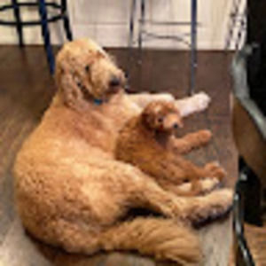 Meet your Posher, Eli